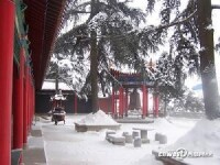 驪山森林公園雪景