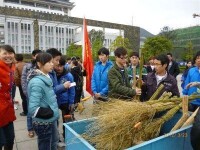 義務清理校園垃圾