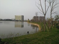錦湖公園