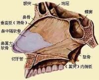 蝶篩隱窩