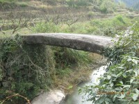 梁村[麗水市蓮都區老竹鎮梁村]