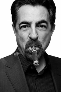 Joe Mantegna