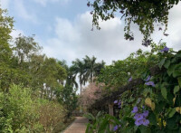 亞熱帶植物園