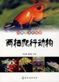 兩棲爬行動物