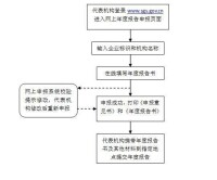 代表處年檢流程圖