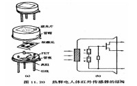 熱釋電紅外感測器