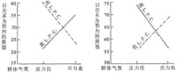 關於領導績效的表格