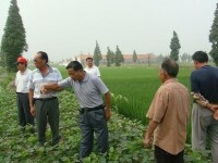 建設鎮加強水稻專業農民現場指導