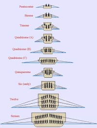 五層羅馬漿船剖面