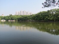 氿北濕地公園