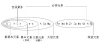 必需元素