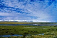 隆寶灘黑頸鶴自然保護區自然風景圖片