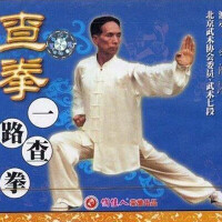 李式查拳