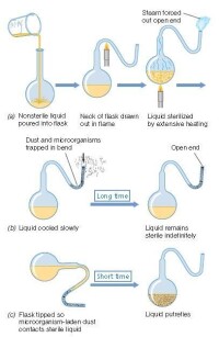 Pasteur&amp;#39;s swan-necked flask experiment
