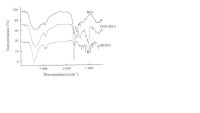 DON-BSA偶聯物紅外光譜圖