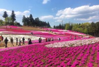 羊山公園