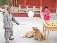 弘一佛堂居住環境