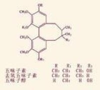 原兒茶酸