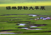錫林郭勒大草原圖片