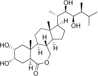 油菜素內酯（BL）結構式