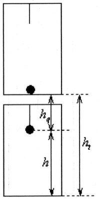 物理運動圖