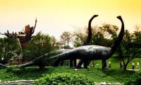 中國南陽西峽恐龍遺跡園