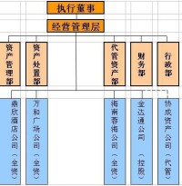 成都鼎立資產經營管理有限公司