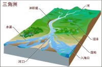 三角洲