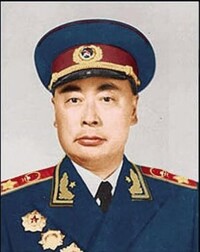 陳毅將軍