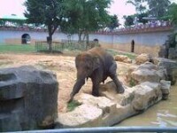 西郊動物園的動物照片