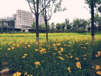 晉陽街公園