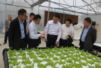中國農業科學院黨組書記張合成帶隊考察調研成都市農林科學院