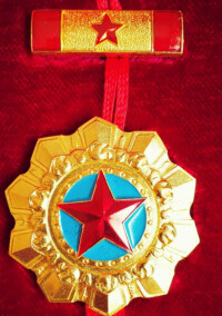 榮獲一級紅星功勛榮譽章