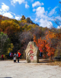 天橋溝國家森林公園