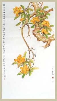 杜哲森