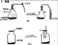 植物呼吸作用演示實驗