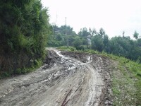 王海村通村道路