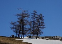 申集鎮-小路