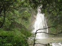 神農谷國家森林公園