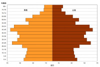 人口金字塔