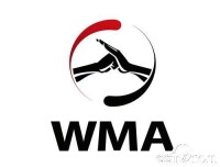 WMA武術職業聯賽