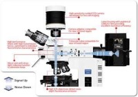 倒置熒光顯微鏡的光路原理