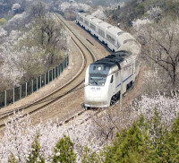 和諧號列車穿越居庸關花海