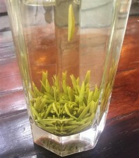 竹葉茶