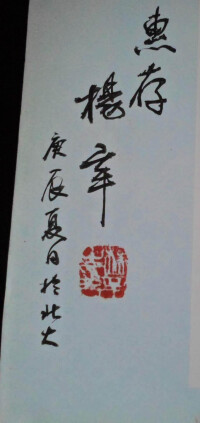 楊辛先生獨字書法藝術