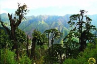 高黎貢山生物圈保護區