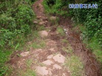 石頭村[雲南省楚雄州雙柏縣法脿鎮石頭村]