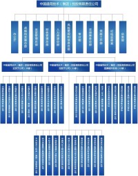 中國通用技術（集團）控股有限責任公司