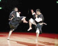 日本少林寺拳法