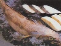 北極鱈魚